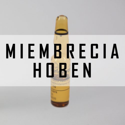 Renobacion Miembrecia Hangua Norigynon (Hoben)